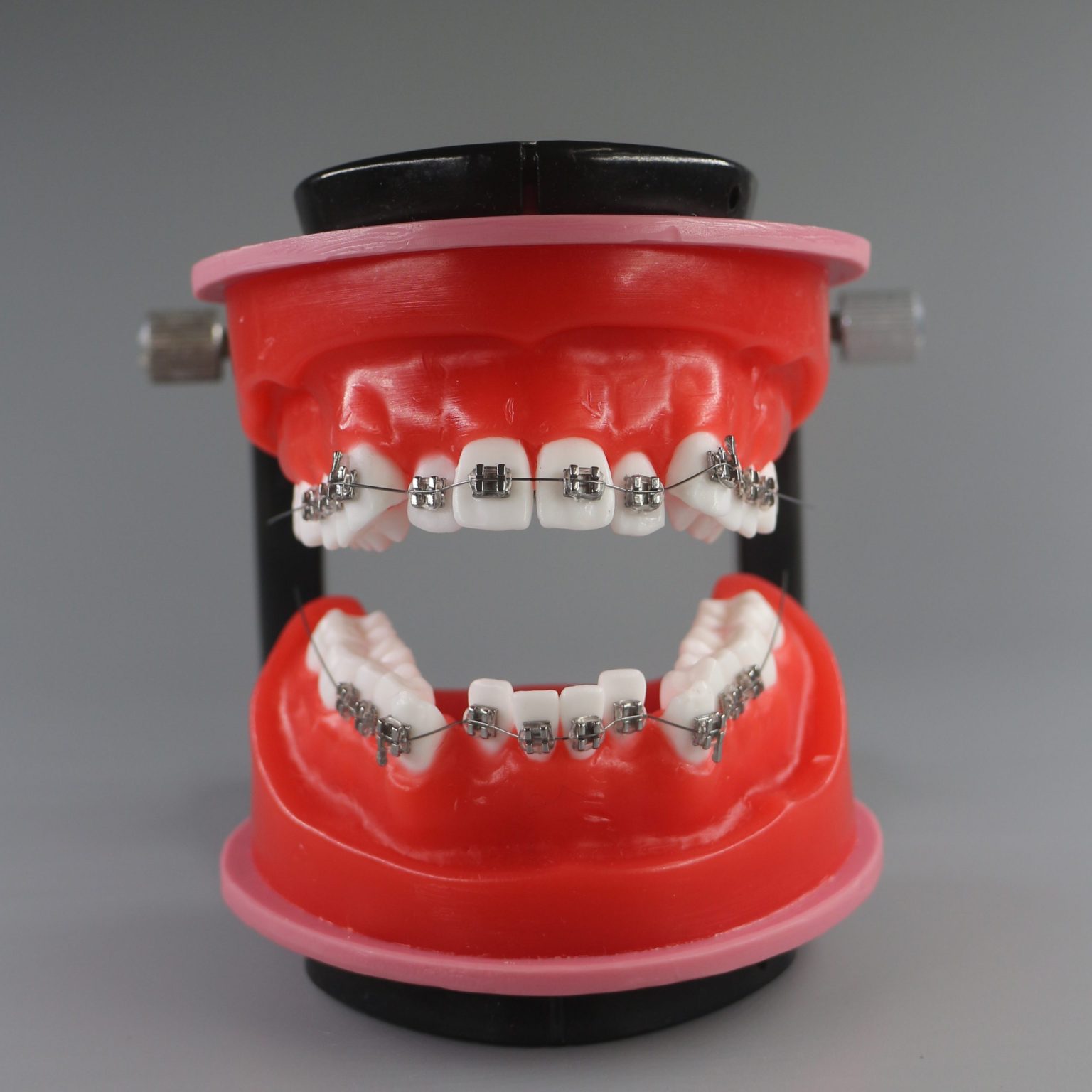 Orthodontic training Typodont Jojenmodeldental model teeth,dental