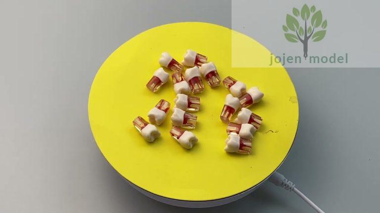 endodontics model lowest,Endo teeth Customization,endo teeth for practice,root canal model,in china.