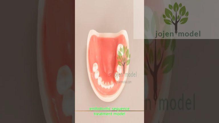 Nissin Dental Products china manufacturer,Nissin Ope-Gum Suture Kit Big china manufacturer.